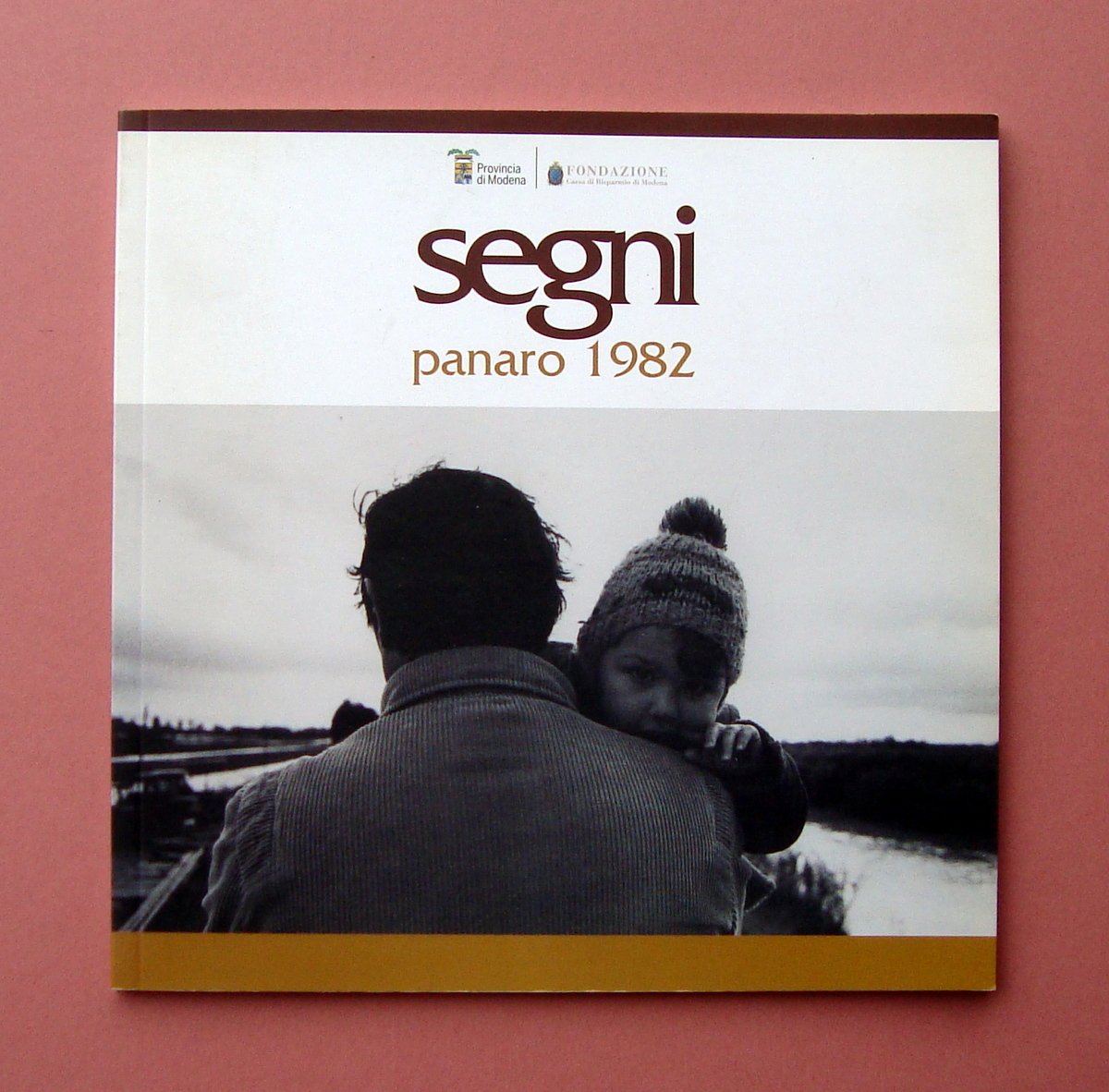 Catalogo mostra fotografica Segni Panaro 1982 Fabio Mantovani alluvione ottimo | Immagine principale