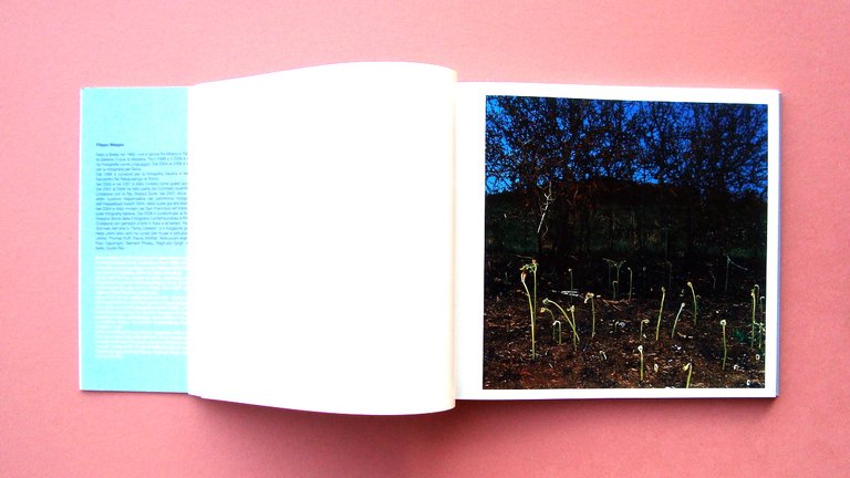 Catalogo Northern Lights Silvana Edirotiale Milano 2007 Fotografia