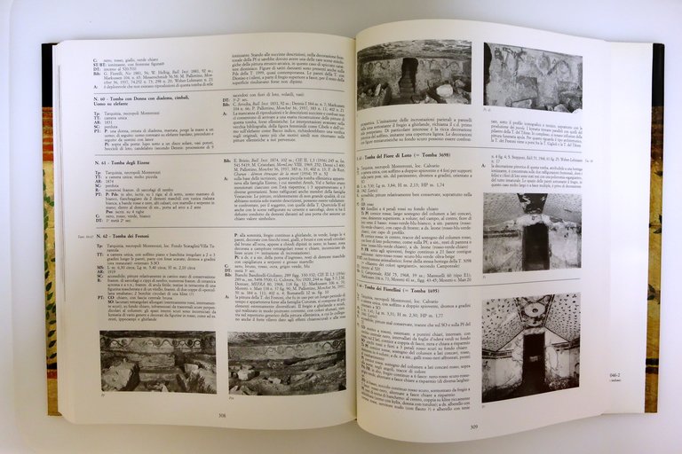 Catalogo Ragionato della Pittura Etrusca a cura di S. Steingraber …