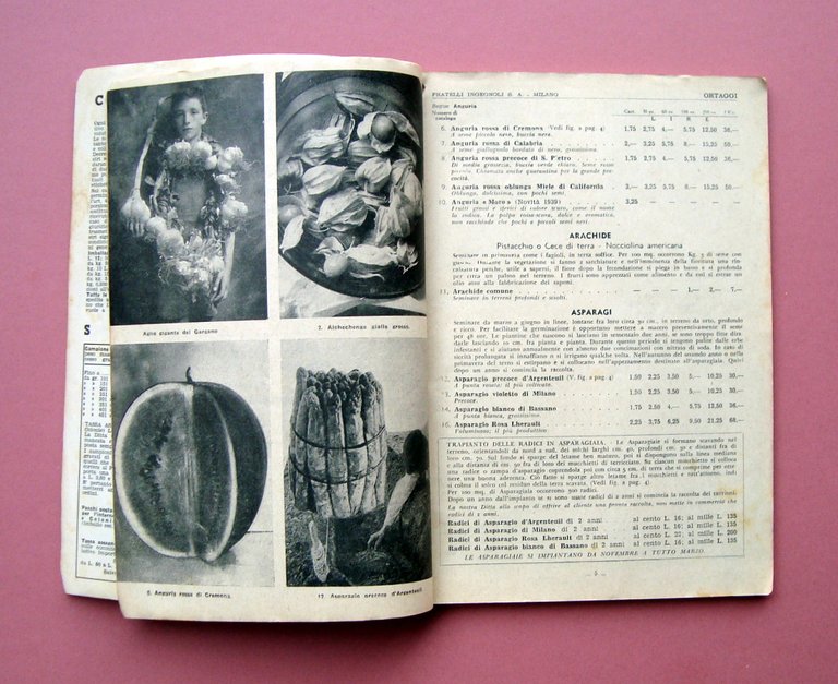 Catalogo Semestrale 1 Gennaio 1940 Fratelli Ingegnoli S.A Milano Sementi … | Immagine Gallery 3