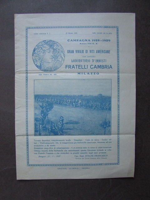 Catalogo Vivaio Viti Americane Innesti Cambria Milazzo 1928 Uva Agricoltura | Immagine principale