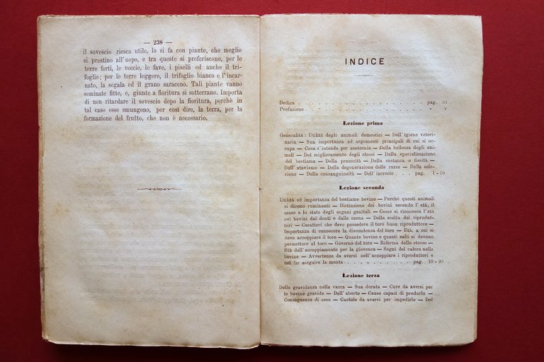 Catechismo di Pastorizia Contadini provincia di Treviso A. Barpi 1880 …