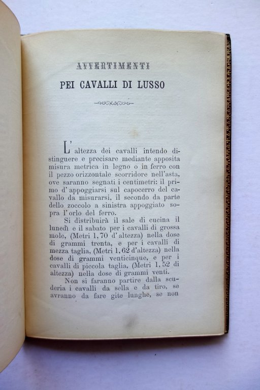 Cenni per Custodire Cavalli di Lusso e di Campagna Ricotti …