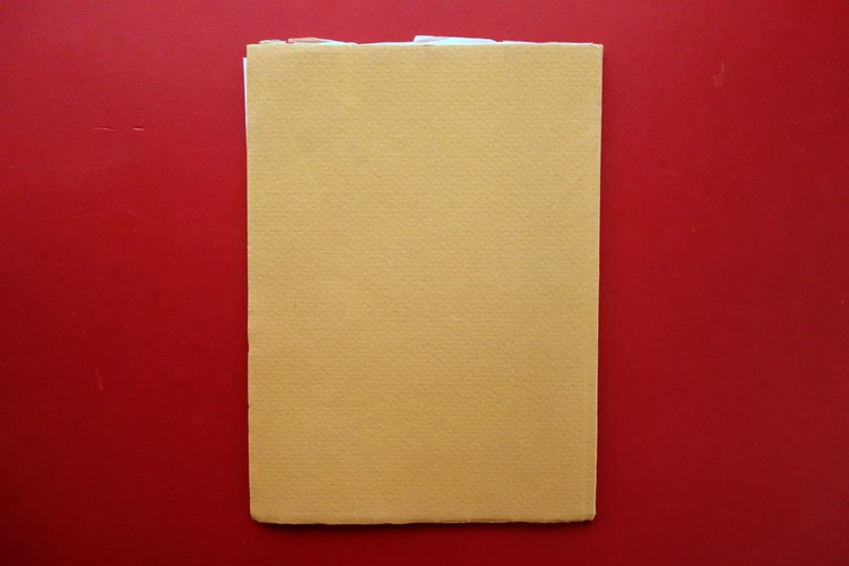 Cenni sui Lavori del Palazzo di Venezia Federico Hermanin 1929 … | Immagine Gallery 2