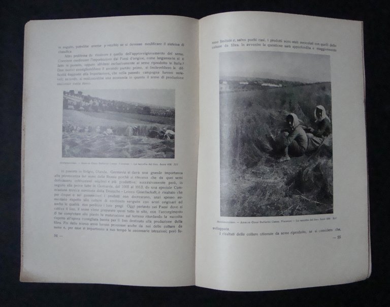 CIAFFI LA COLTURA E L' INDUSTRIA DEL LINO PRIMAVERILE 1936 …
