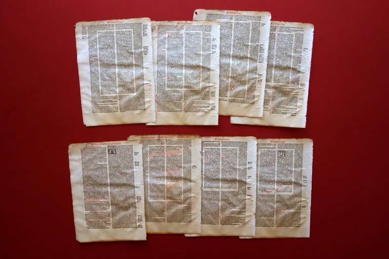 Cinquecentina Frammento Sulla Penitenza Arboris Affinitatis '500 Liturgia