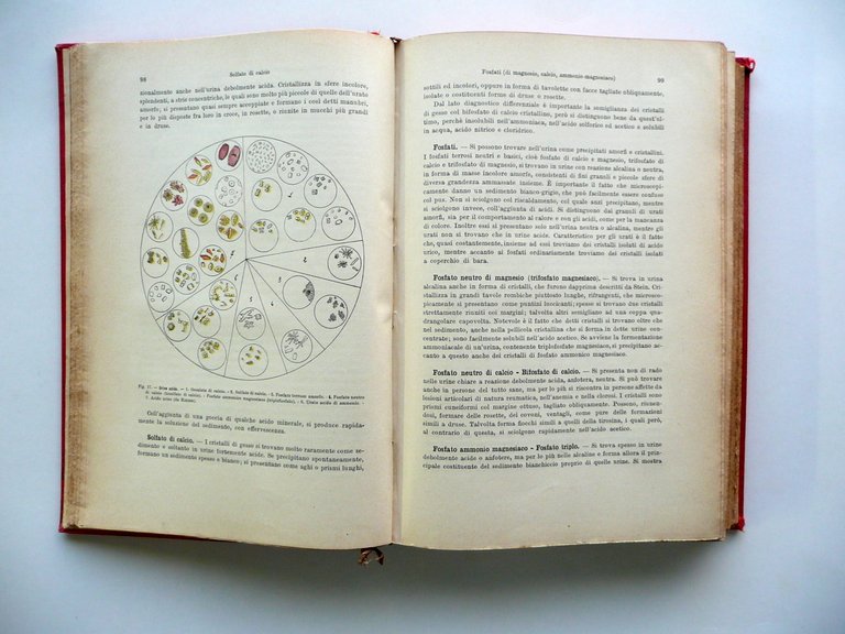 Clinica delle Malattie dei Reni Nefropatie A. Barlocco UTET Torino … | Immagine Gallery 4