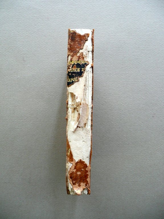 Codice Civile di Napoleone il Grande pel Regno d'Italia Milano …