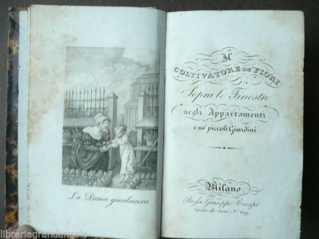 Coltivatori Fiori Finestre Appartamenti piccoli giardini Primo '800 Floricoltura