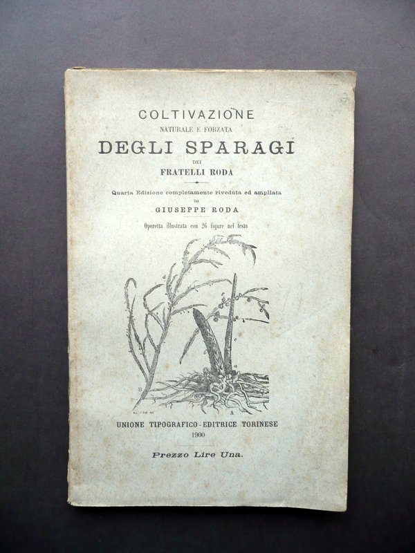 Coltivazione Naturale e Forzata degli Sparagi Fratelli Roda UTET Torino …