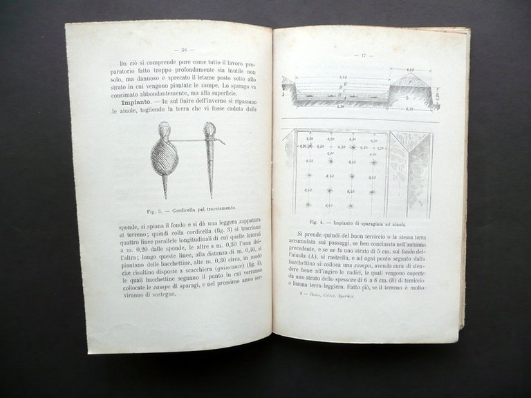 Coltivazione Naturale e Forzata degli Sparagi Fratelli Roda UTET Torino …