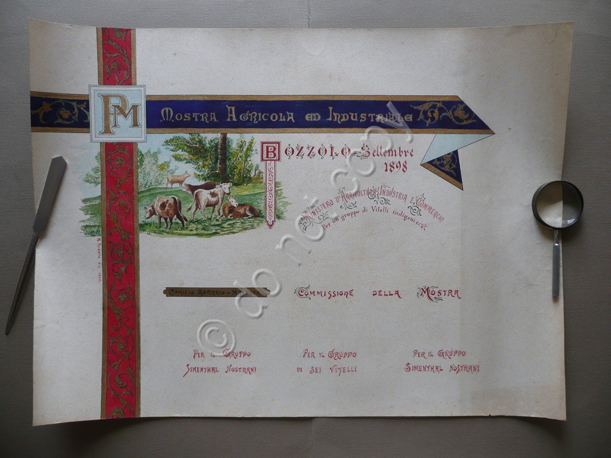 Comizio Agrario Mantova Mostra Agricola ed Industriale Acquarello R.Rodolla 1900