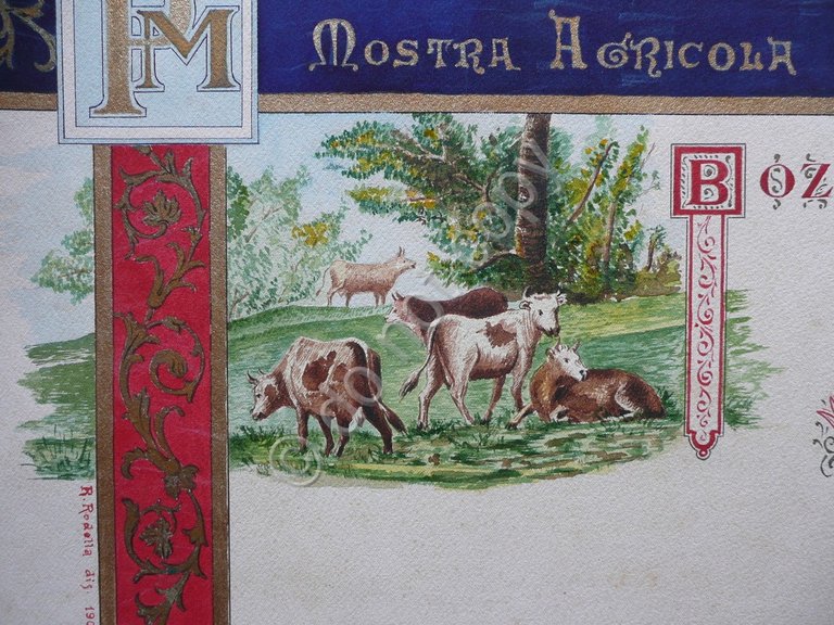 Comizio Agrario Mantova Mostra Agricola ed Industriale Acquarello R.Rodolla 1900