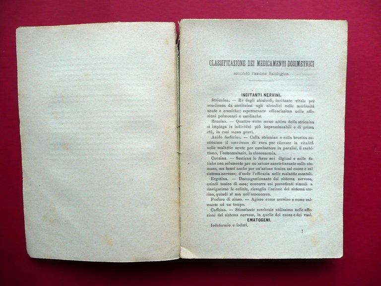 Compendio di Terapia Dosimetrica Michele Aicardi Bruno Torino 1886 Medicina | Immagine Gallery 4