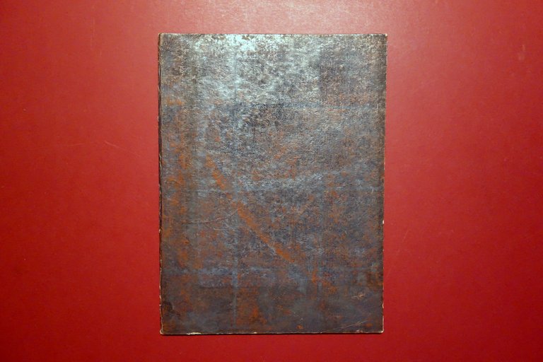 Compendium Vitae Virtutum Miraculorum Beata Germaine Cousin Tolosa 1867 Santa | Immagine Gallery 2