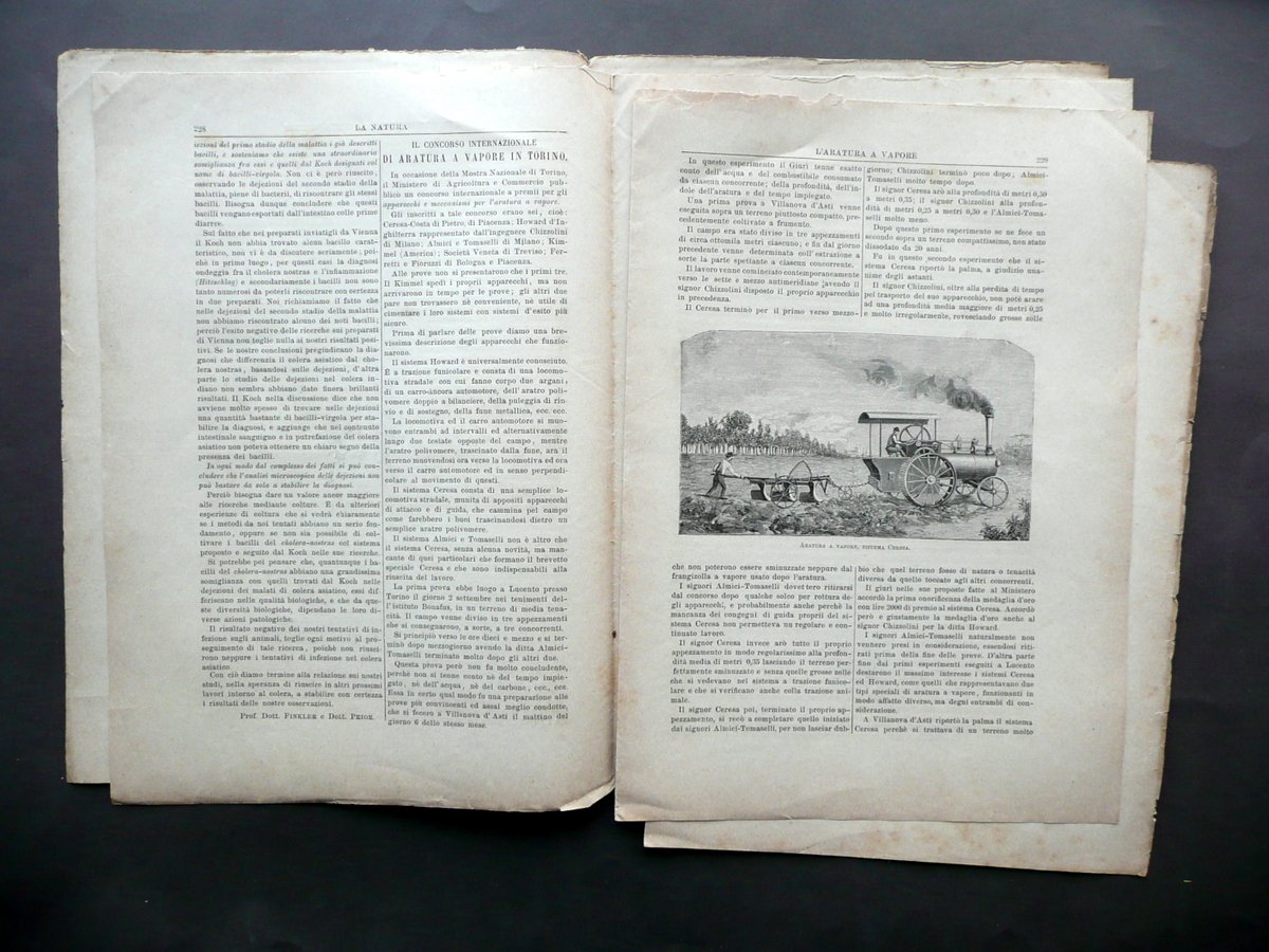 Concorso Internazionale Aratura a Vapore Torino La Natura N. 42 …