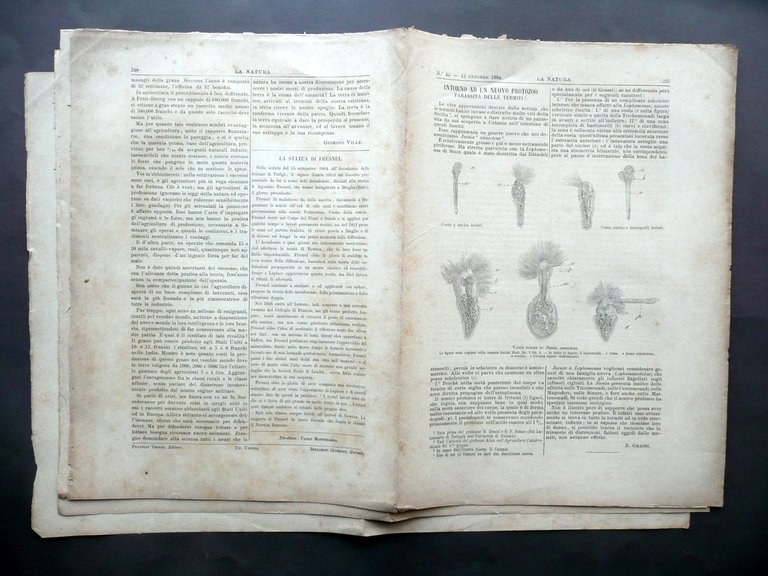 Concorso Internazionale Aratura a Vapore Torino La Natura N. 42 …