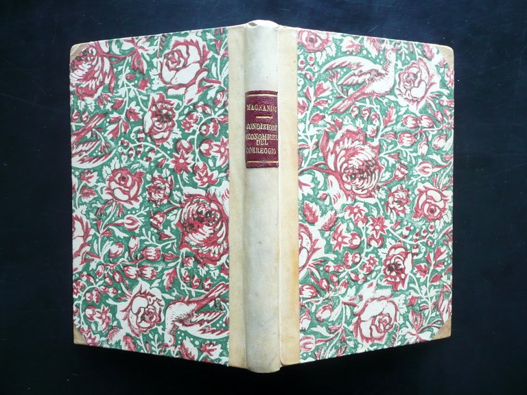 Condizioni Economiche del Correggio Vincenzo Magnanini Palazzi 1886 | Immagine Gallery 3