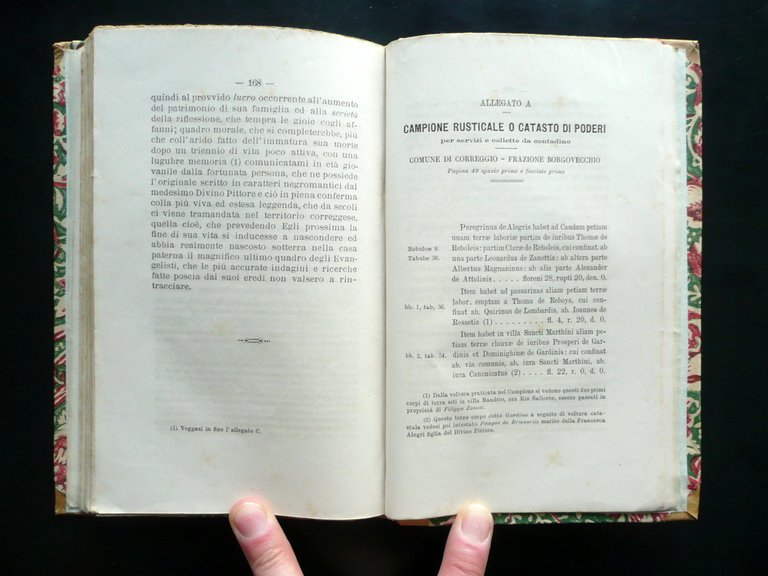 Condizioni Economiche del Correggio Vincenzo Magnanini Palazzi 1886 | Immagine Gallery 6