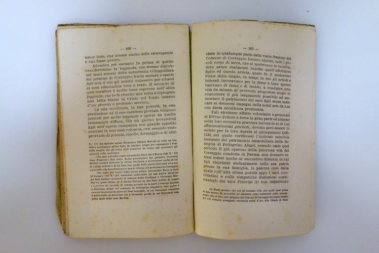 Condizioni Economiche del Correggio Vincenzo Magnanini Palazzi 1886 | Immagine Gallery 8