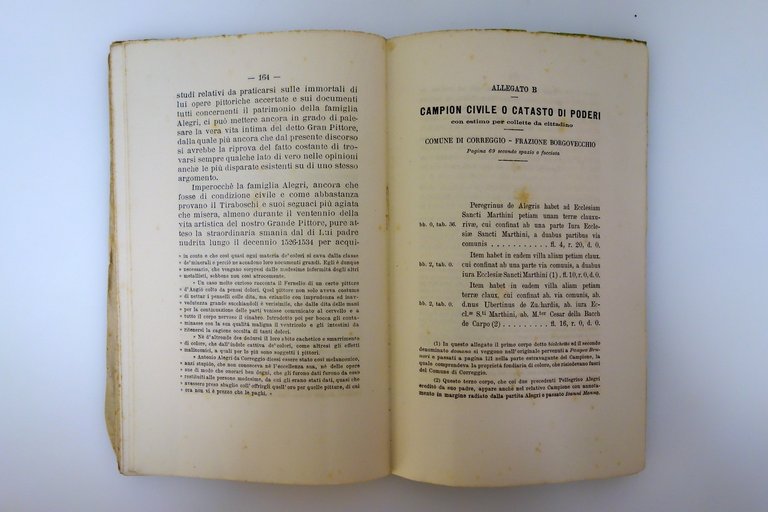 Condizioni Economiche del Correggio Vincenzo Magnanini Palazzi 1886 | Immagine Gallery 11