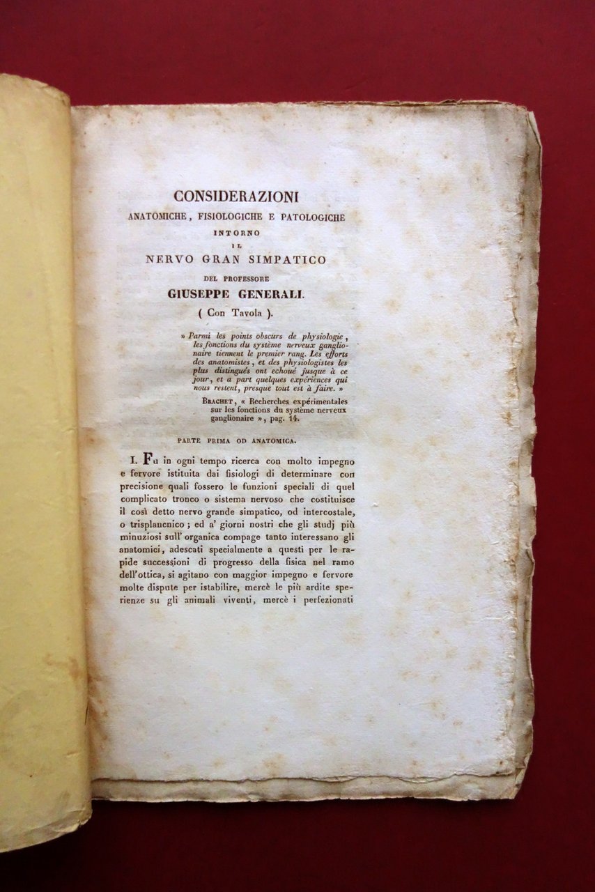 Considerazioni Anatomiche Patologiche Intorno al Nervo Gran Simpatico Generali