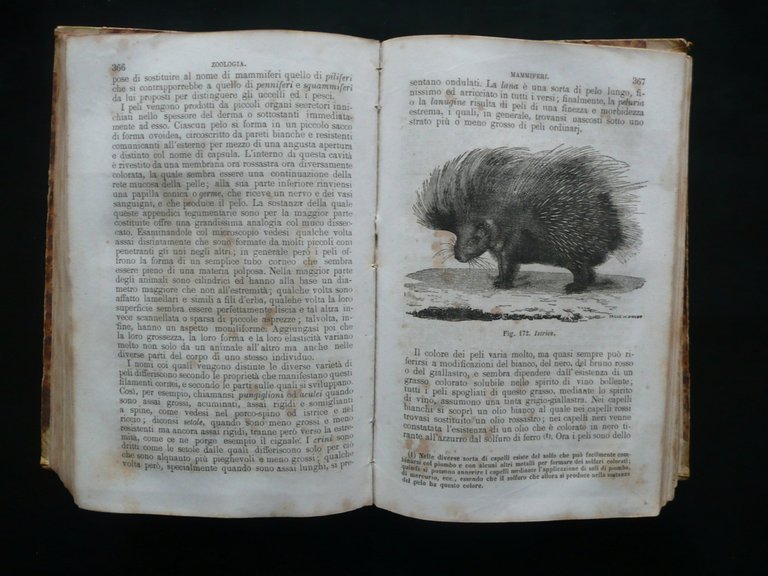 Corso Elementare di Storia Naturale Zoologia Milne Edwards Vallardi Milano …