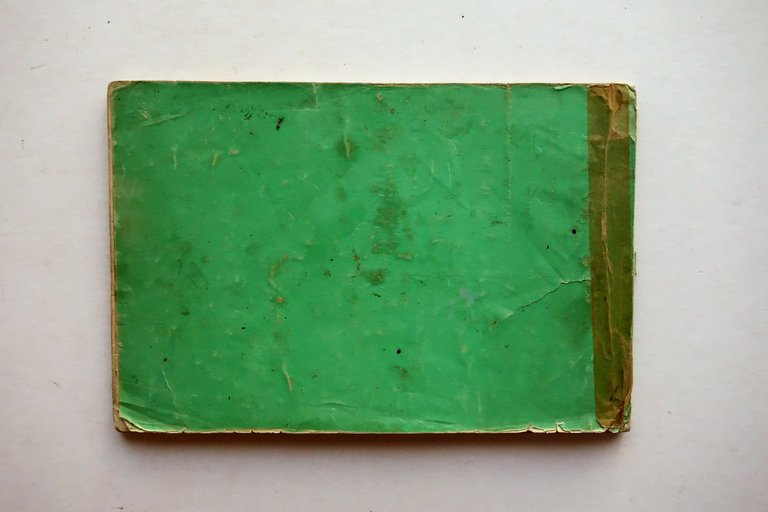 Cours de Fleur d'Apres J. Sette Turgis Paris Met‡ Ottocento … | Immagine Gallery 2