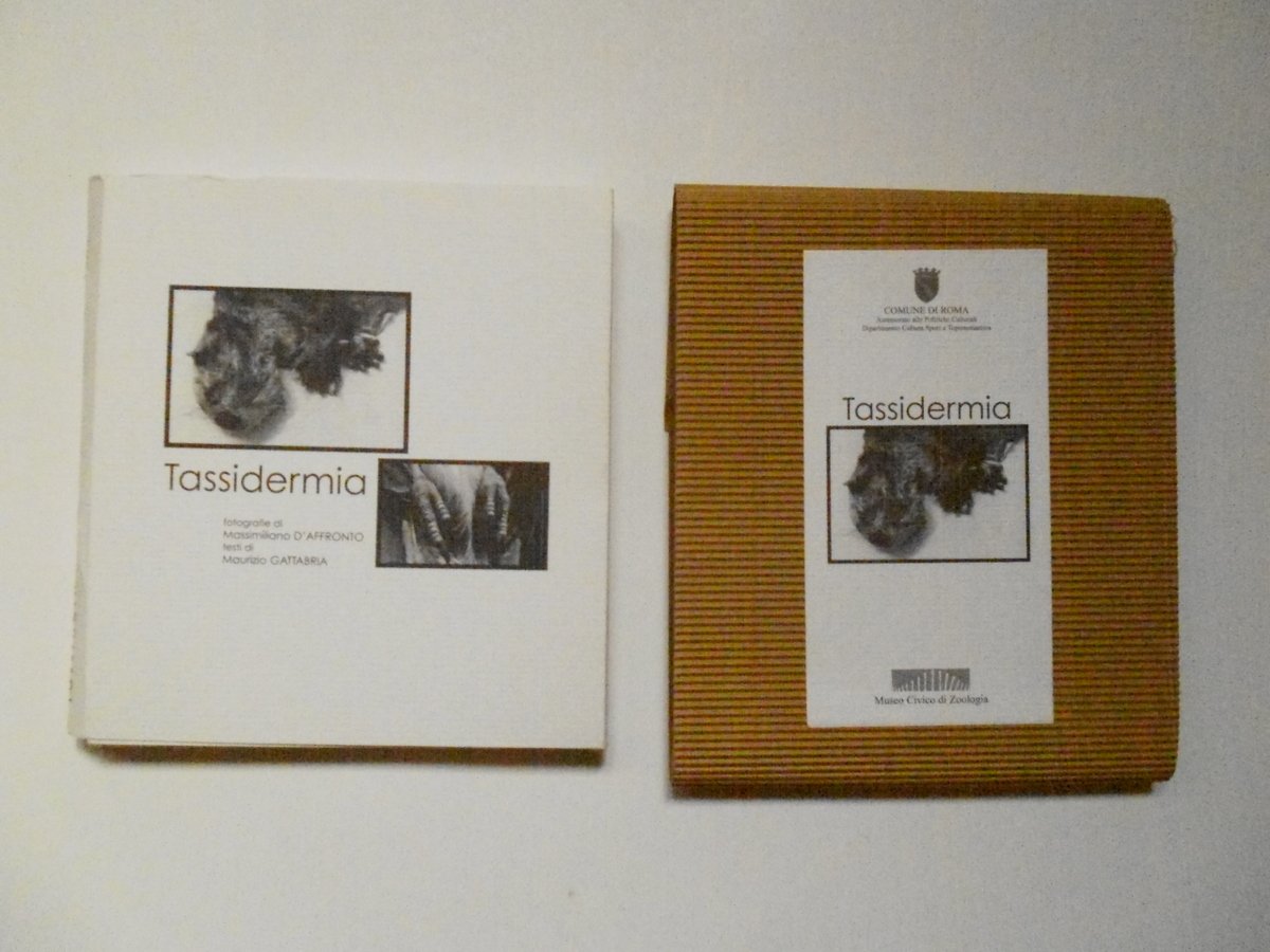 D'Affronto Gattabria Tassidermia Museo Civico di Zoologia 2001