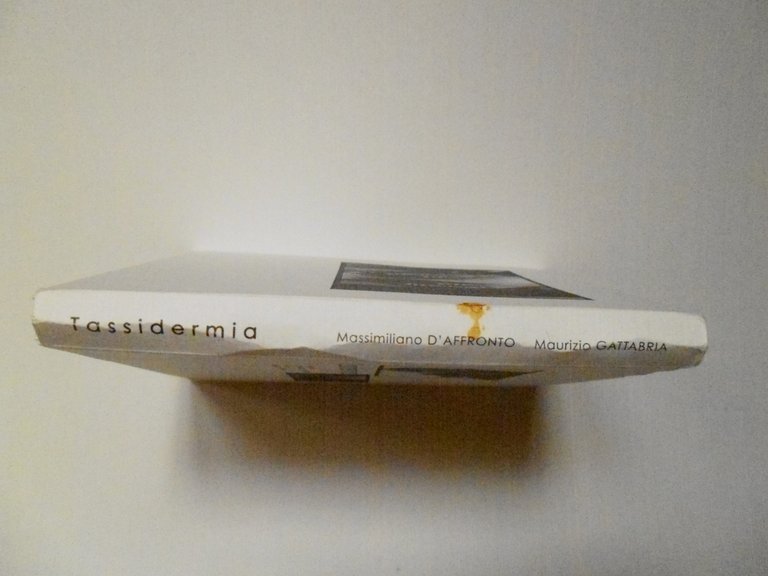 D'Affronto Gattabria Tassidermia Museo Civico di Zoologia 2001