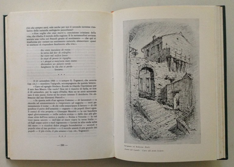 Dario Mazzotti La Vita Episodi Aneddoti Inediti di Giovanni Pascoli … | Immagine Gallery 4