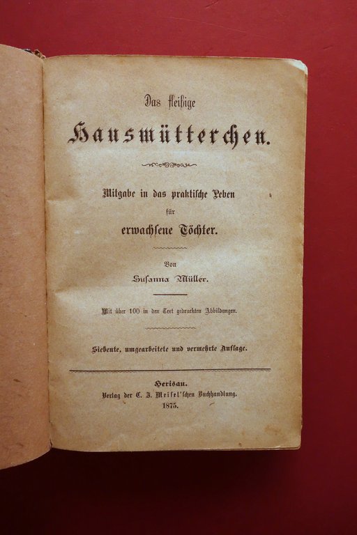 Das Fleibige Hausmutterchen Susanna Muller Meisel Herisau Svizzera 1875