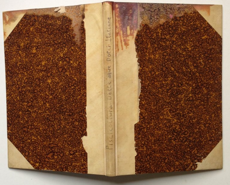 Decio Vinciguerra Piscicoltura Torino Unione Tipografico Editrice Torinese 1929