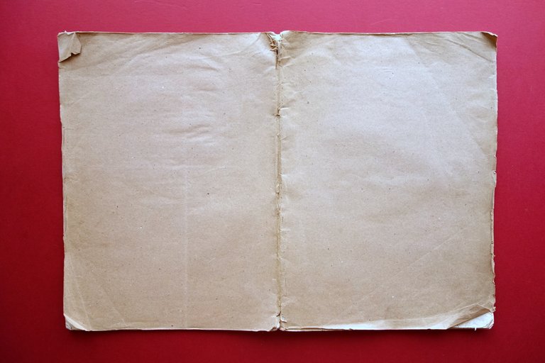 Del Salone di Palazzo Marino Commissione Restauro Bernardoni Milano 1827 …