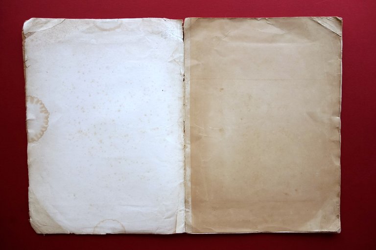 Del Salone di Palazzo Marino Commissione Restauro Bernardoni Milano 1827 …