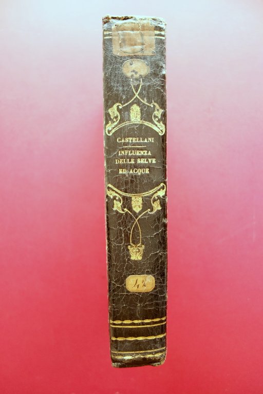 Dell'Immediata Influenza delle Selve sul Corso delle Acque Castellani 1818 | Immagine Gallery 3