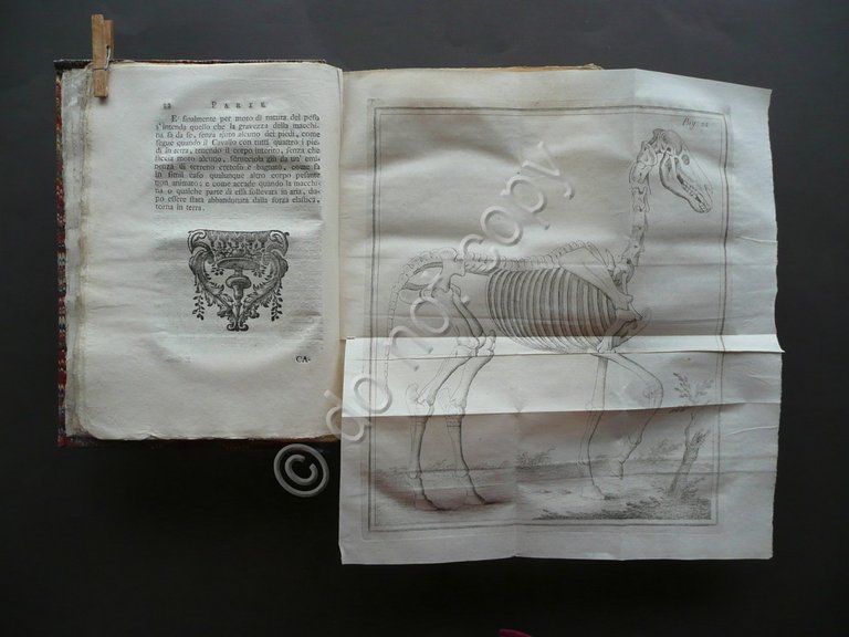 Dell'Obbedienza del Cavallo NiccolÚ Rosselmini Coltellini Livorno 1764 Completo