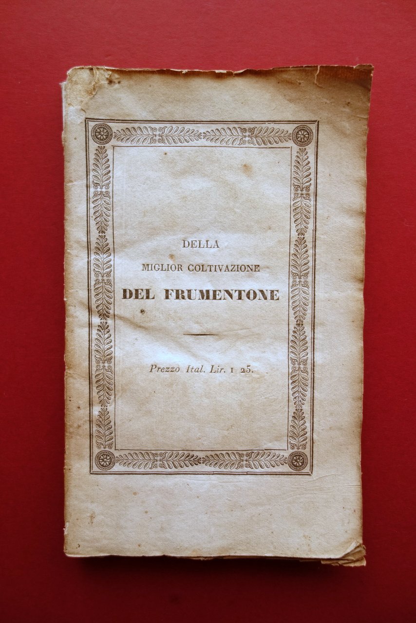 Della Miglior Coltivazione del Frumentone Vincenzi Modena 1829 Tavola Raro