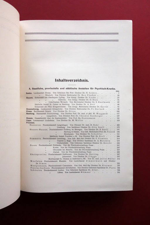 Deutsche Heil Und Pflegeanstalten fur Psychischkranke Bresler Marhold 1910 Raro