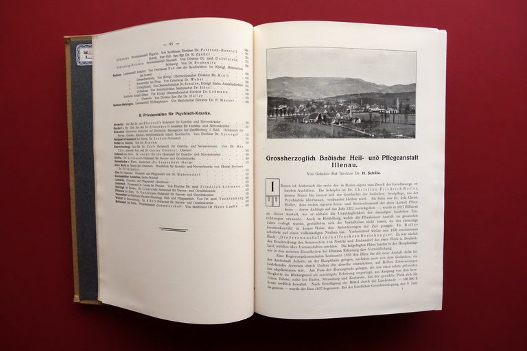 Deutsche Heil Und Pflegeanstalten fur Psychischkranke Bresler Marhold 1910 Raro