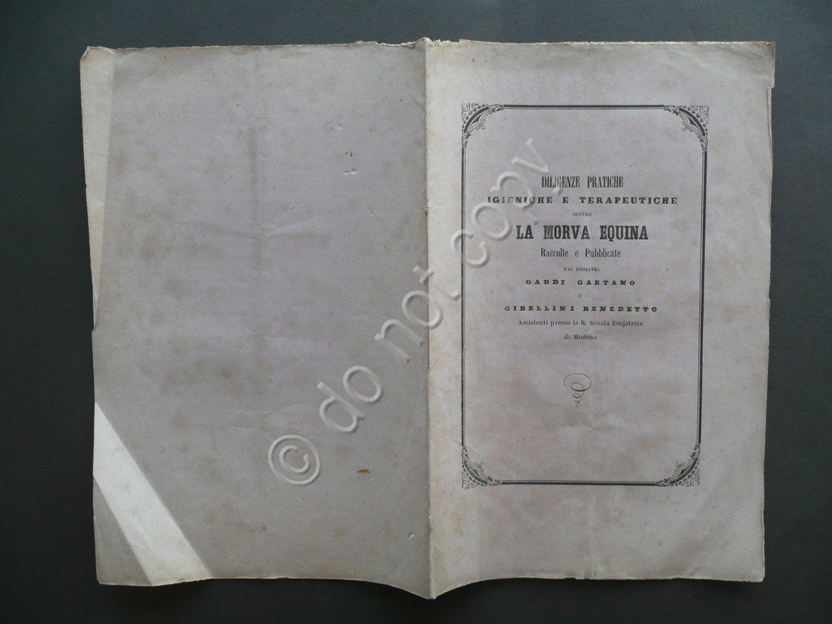 Diligenze Pratiche Igieniche Contro Morva Equina Gaddi Gibellini Soliani 1864
