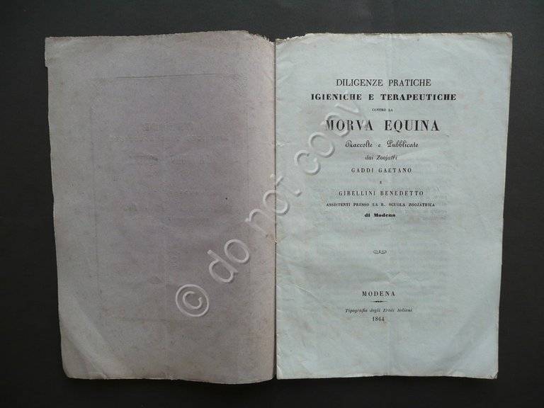 Diligenze Pratiche Igieniche Contro Morva Equina Gaddi Gibellini Soliani 1864
