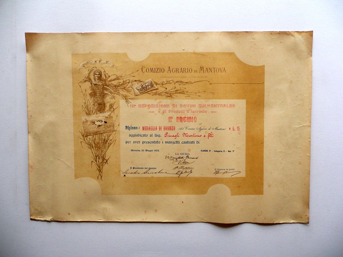 Diploma Comizio Agrario di Mantova II Premio Medaglia Bronzo Manzi …