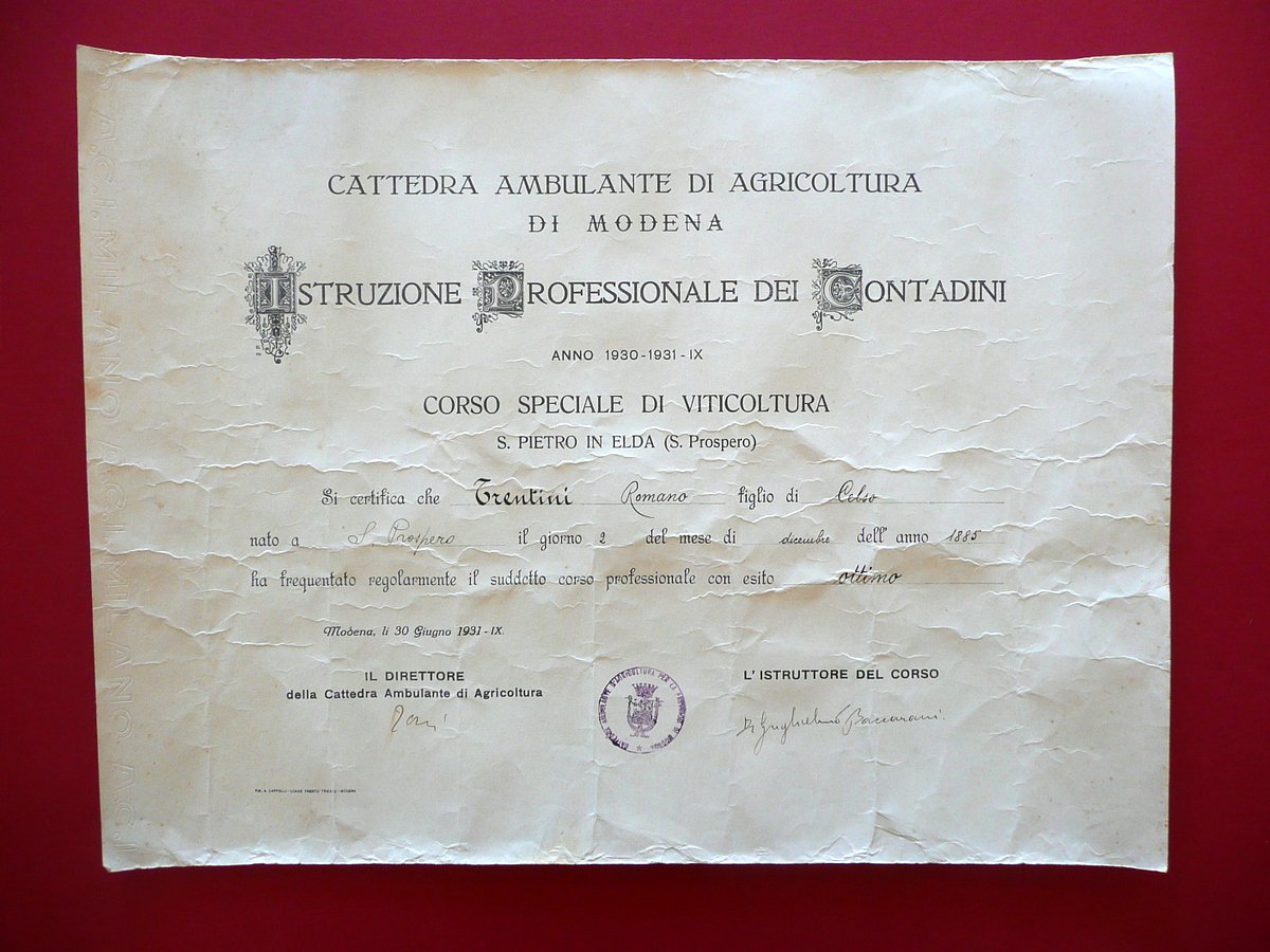 Diploma Corso Speciale di Viticoltura San Prospero Modena Trentini 1931