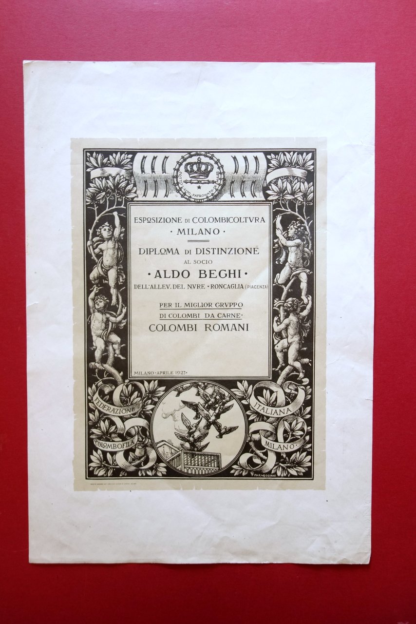 Diploma di Distinzione Esposizione di Colombicoltura Beghi Colombi Romani 1927