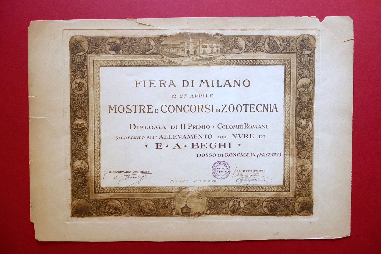 Diploma Fiera di Milano Zootecnia Colombi Romani Beghi Dosso di … | Immagine principale