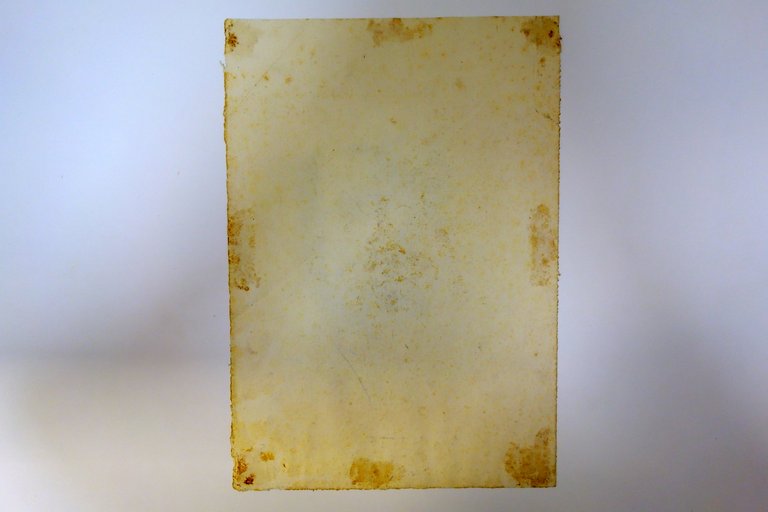 Disegno Originale a Matita Studio Volto Maschile Firmato Giuseppe Goldoni … | Immagine Gallery 2