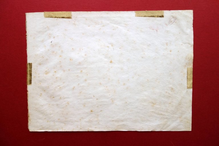 Disegno Originale Acquerello Bagno Femminile Piscina J. Tavernier Ottocento