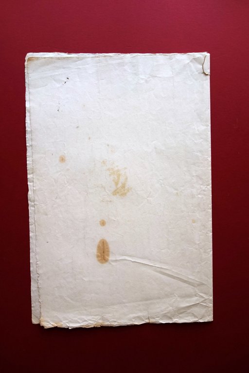 Disegno Originale Acquerello Decorazione Modulo Diploma Firmato Padovano '800