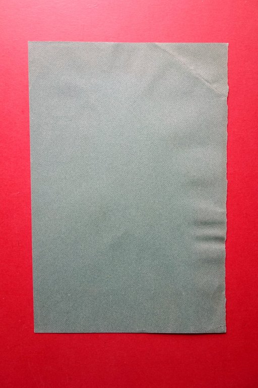 Disegno Originale Pappagallo Tecnica Mista Tempera Acquerello A. M. Morselli | Immagine Gallery 2